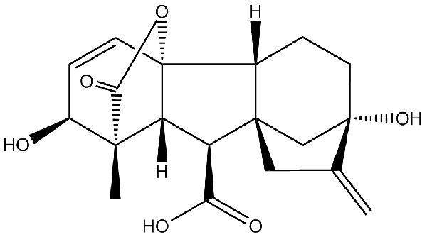 赤霉素GIBBERELLIC ACID，居然有這么神奇？