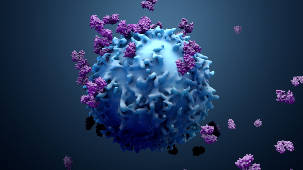 Uncovering Virusys Human Herpes Virus Antibodies: A Research Tool from Laboratory to Clinic