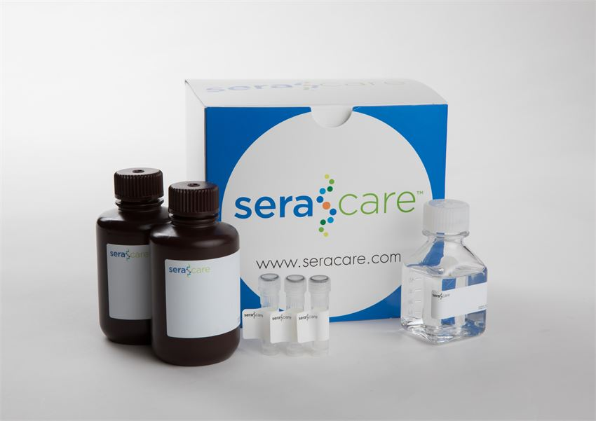 SeraCare?KPL高性價比WB底物